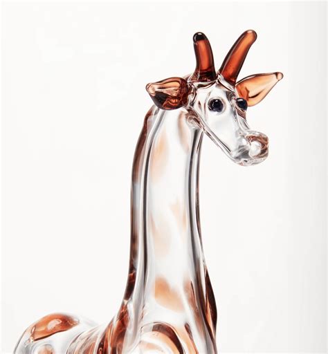 giraffa dior